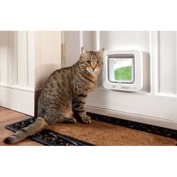 SUREFLAP Vit elektronisk chipflik