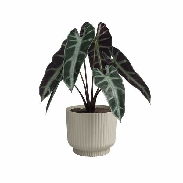 Blomkruka - ARTEVASI - Miami Wavy - 30 cm - 13 L - Krämfärgad
