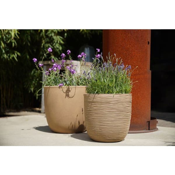 Bollkruka - CAPI EUROPE - Slät NL - 43 x 41 cm - Beige