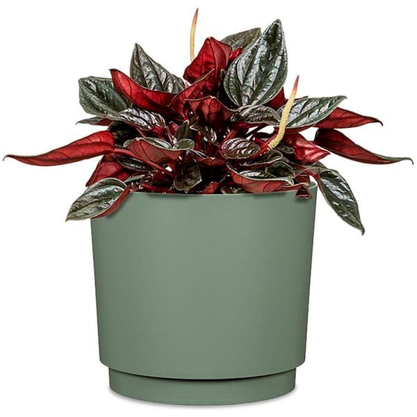 Rund blomkruka - DEROMA - 236 - 13 L - Ø 29 cm - Grön