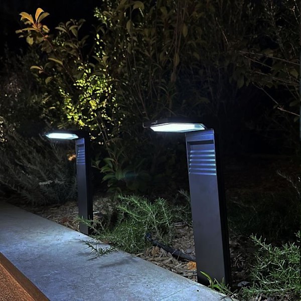 Set med 2 solfyrar att plantera - LUMISKY - OSTRY - H41 cm - Kallvit LED
