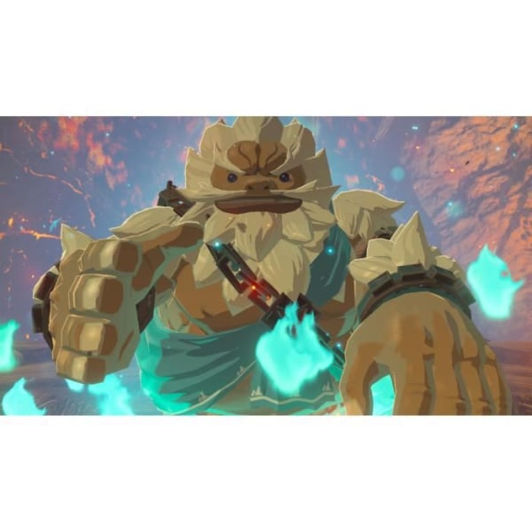 The Legend of Zelda: Breath of the Wild Switch Game