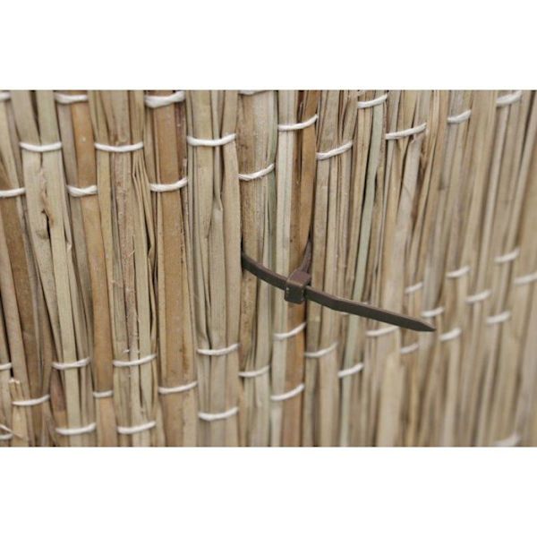 Växtstödkrage - NATURE - 15 cm - 25-pack - Antracit