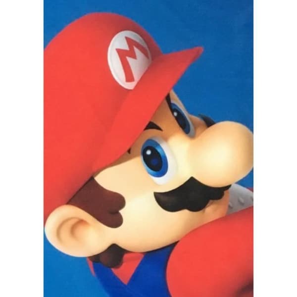 Sherpafilt - MARIO BROS - Mario & Luigi - 100 x 150 cm