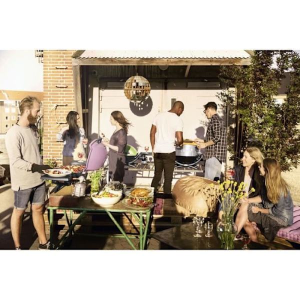 WEBER Weber Q 1400 Stand Electric Grill