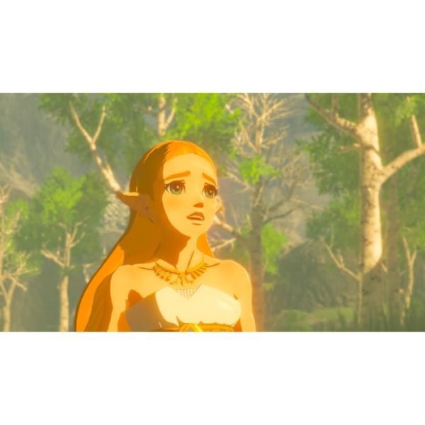 The Legend of Zelda: Breath of the Wild Switch Game