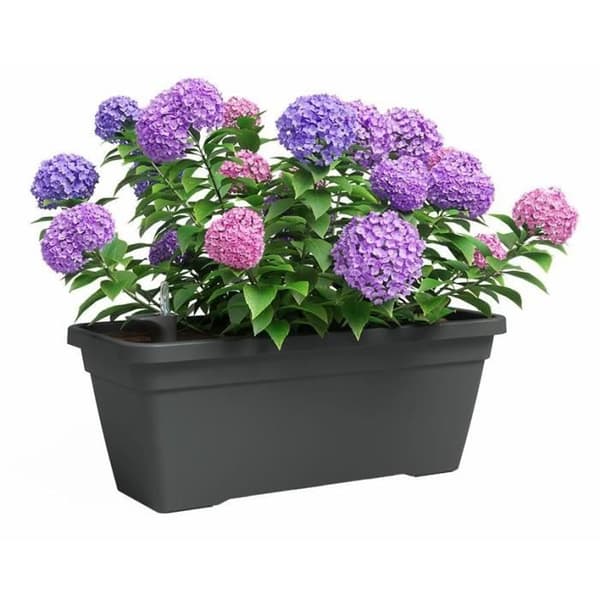 Planteringskärl - Plast - Antracit - Rektangulär - L77,9 x D24 x H22cm - ARTEVASI