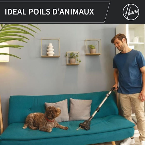 Påslös burkdammsugare - HOOVER - HP321PAF - 850 W - 75 dBA - 2 L - Grå