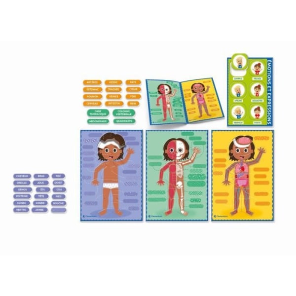 Montessori - Clementoni - Människokroppen - Pedagogiskt spel för att lära dig hur kroppen är gjord inifrån och ut - D