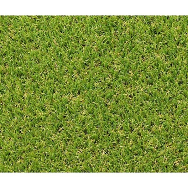 Syntetgräs EXELGREEN CAMPUS 2D - 1x5m - Tjocklek 25mm