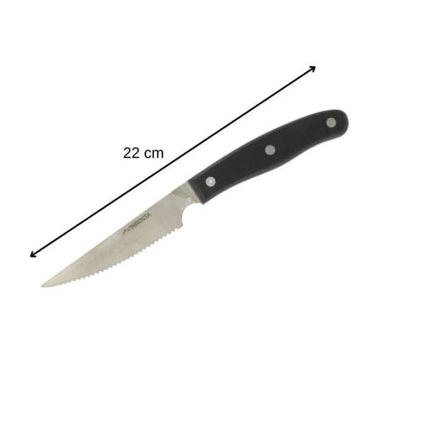 Set med 4 stekknivar - NIROSTA - 22 cm
