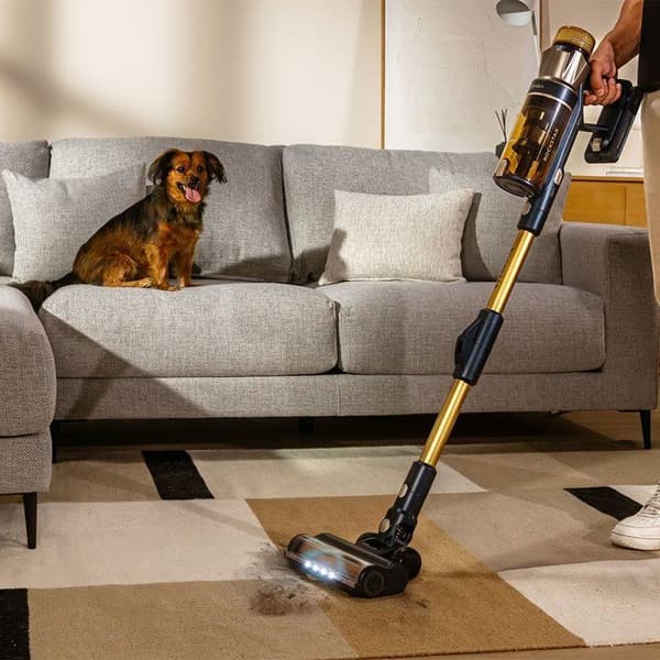 Stickdammsugare - CECOTEC - Conga Rockstar RS90 Pet Flex - 40 000 Pa - 65 min - 140 m² - Guld / Grå