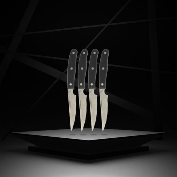 Set med 4 stekknivar - NIROSTA - 22 cm