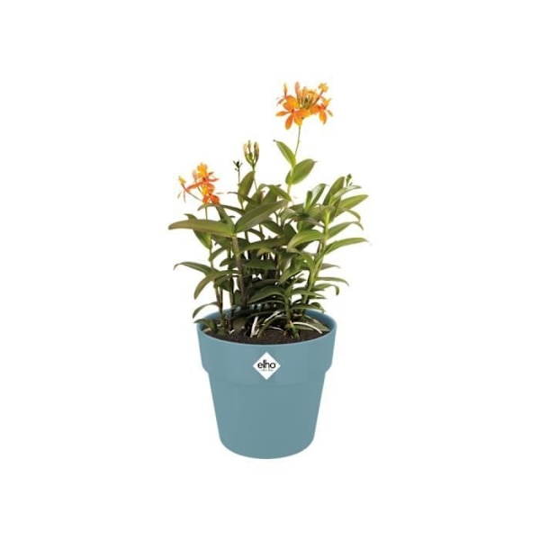 ELHO B.for Original rund blomkruka 30 - Blå - Ø 30 x H 27 cm - inredning - 100% återvunnen