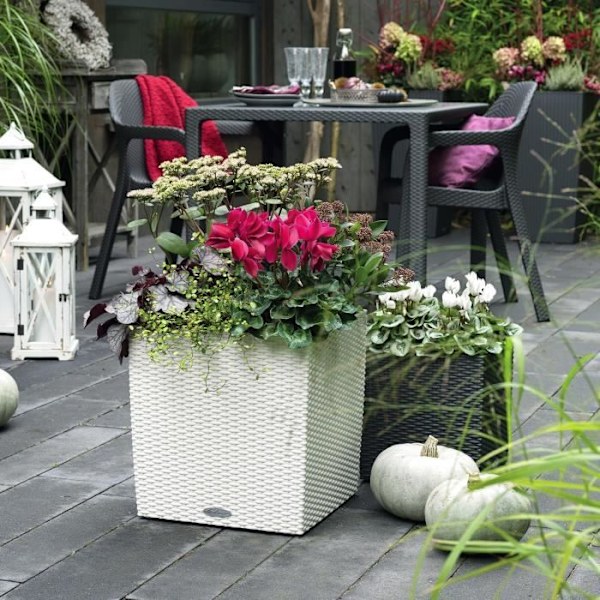 LECHUZA Cube Cottage 50 blomkruka - komplett kit, vit - Plast - 14 L - 49 x 49 x 49,5 cm