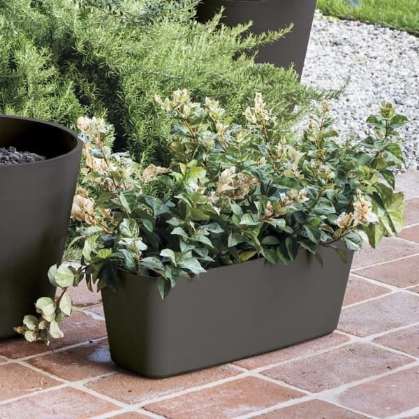 DEROMA Origin kruka - 49,5x19 cm - 12 L - Antracit