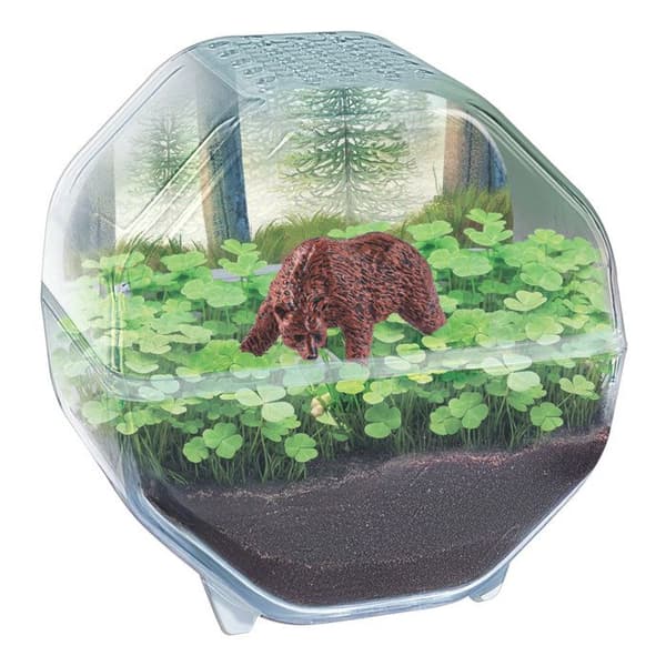 CLEMENTONI - Miniterrarium - Björn