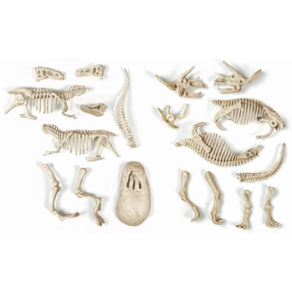 CLEMENTONI Archéo Ludic - T-Rex & fosforescerande triceratops - Science & Jeu