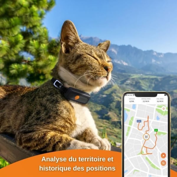 GPS Tracker för chatt - Weenect XS (Black Edition 2023)