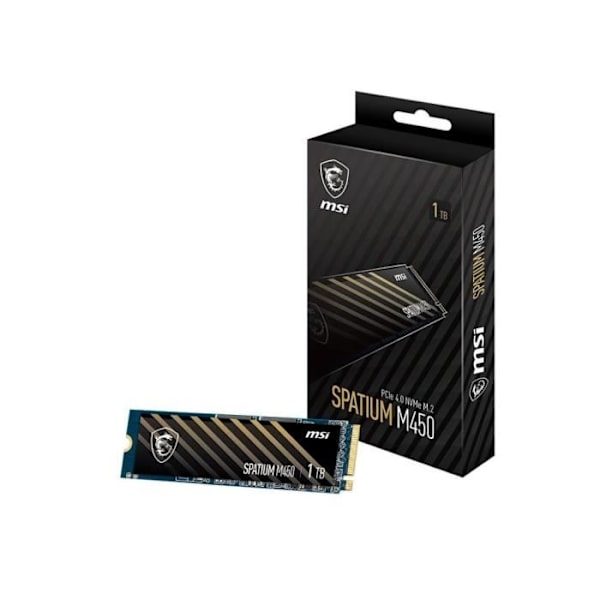 MSI - SPATIUM M450 - Intern SSD - 1TB - PCIe 4.0 NVMe M.2