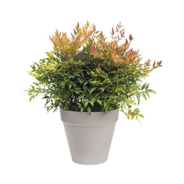 Elho rund blomkruka med urbana lofthjul - Ø 50 cm - het grå