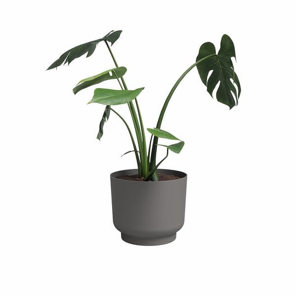 Blomkruka - ARTEVASI - Miami - 30 cm - 13 L - Antracit
