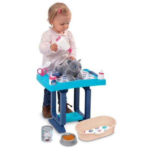 18 -Month Blue Ecoiffier Grooming Table