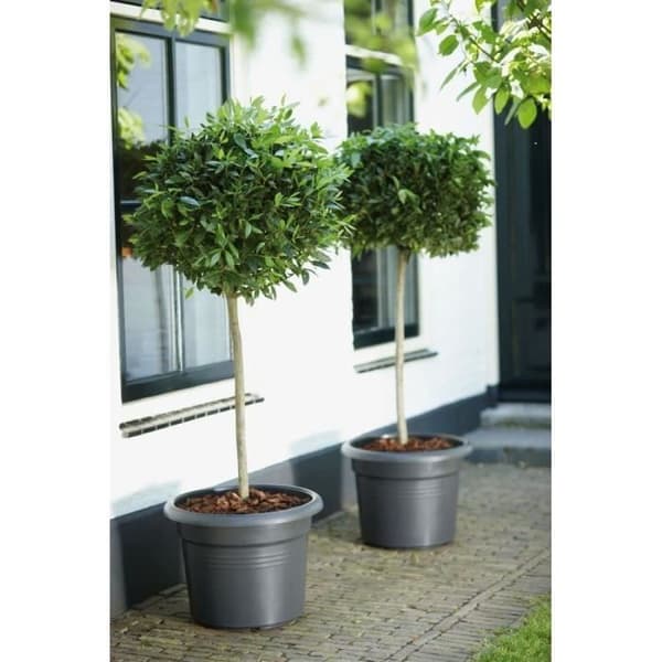 Gröna grunder rund blomkruka - plast - Ø45 - mjuk terrakotta