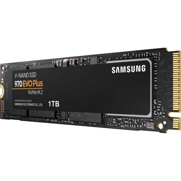 SAMSUNG - Intern SSD - 970 EVO PLUS - 1 TB - M.2 (MZ-V7S1T0BW)