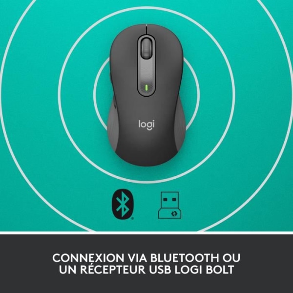 Logitech Signature M650 L trådlös mus - Tyst stor storlek, Bluetooth, programmerbara knappar - grafit