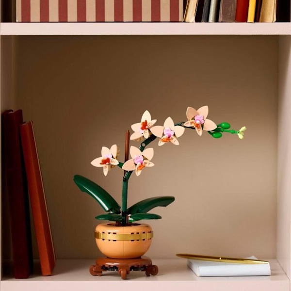 LEGO Botany 10343 Orchid Miniature - Konstgjorda blommor - Presentidé för kvinnor