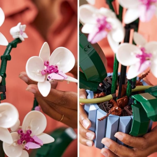 LEGO 10311 Orkidéväxterna med konstgjorda inomhusblommor för heminredning, hantverk för vuxna