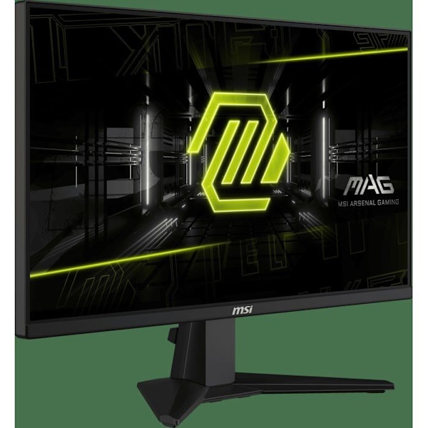 PC-spelskärm - MSI - 25" - FHD - 200Hz - Rapid IPS-panel - 0,5ms - MAG255F E2