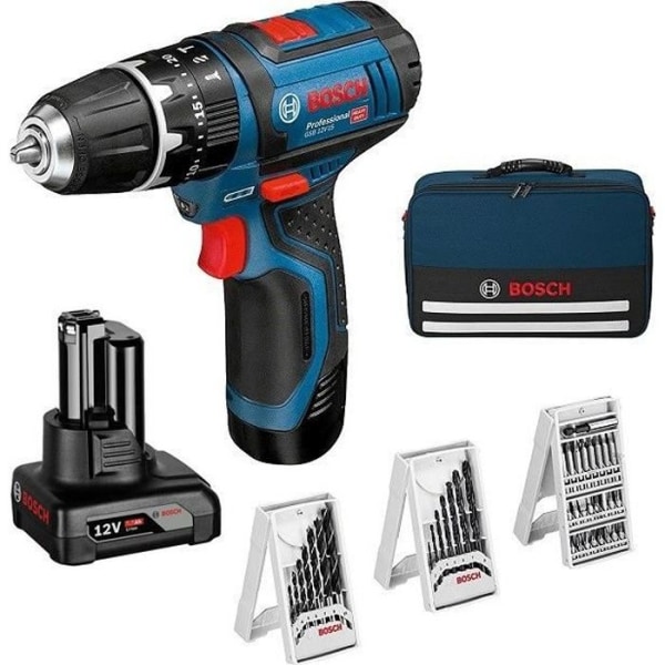 Bosch Professional GSB 12V-15 borrhammare + 1 batteri 2,0Ah + 1 batteri 4,0Ah - 06019B690G