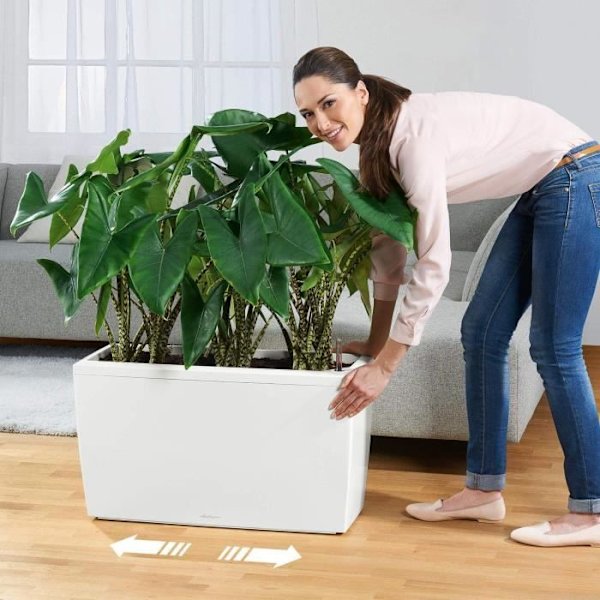 LECHUZA Cararo Premium blomkruka - komplett set, glänsande Scarletröd