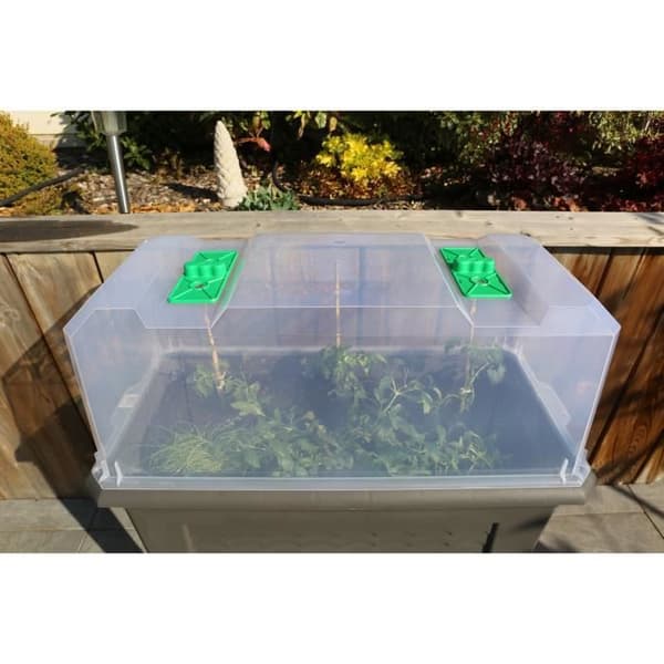 IZISERRE 80 TRANSLUCENT