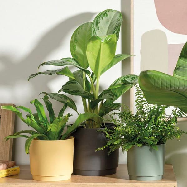 Rund blomkruka - DEROMA - 236 - 13 L - Ø 29 cm - Svart
