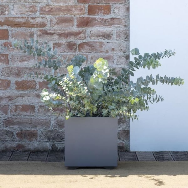 Kubblomkruka - DEROMA - Millennium R - Askgrå - Självvattnande - 25 cm