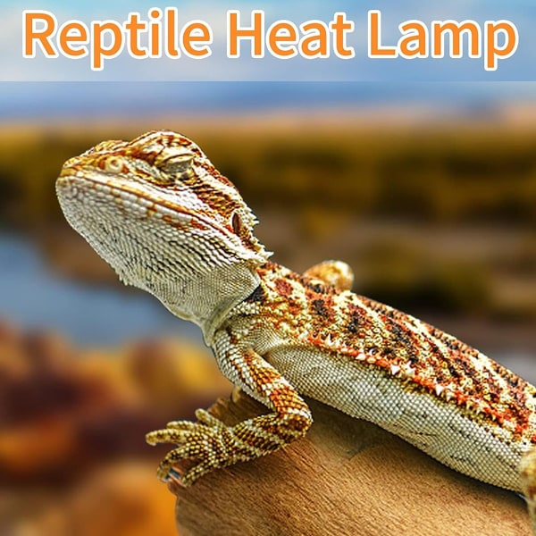 Reptile Heat Lamp 2 Pack, UVA Daylight Basking Spot Light,