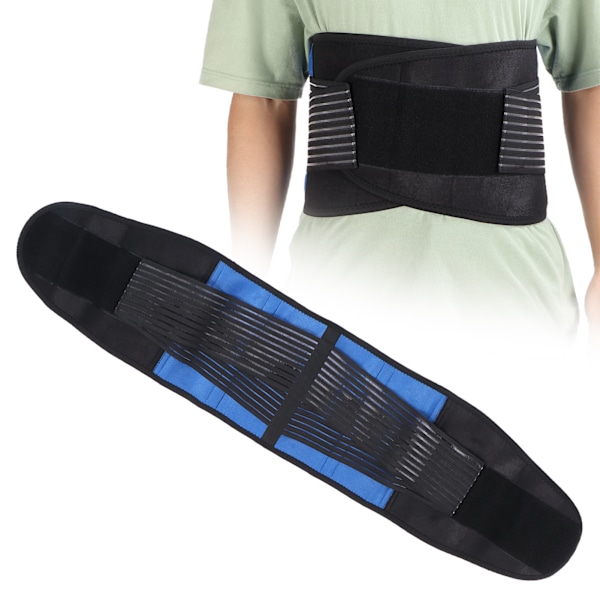 Back Support Belt Breathable Waist Lumbar Lower Back Belt for Women Men Lower Back Pain ReliefL