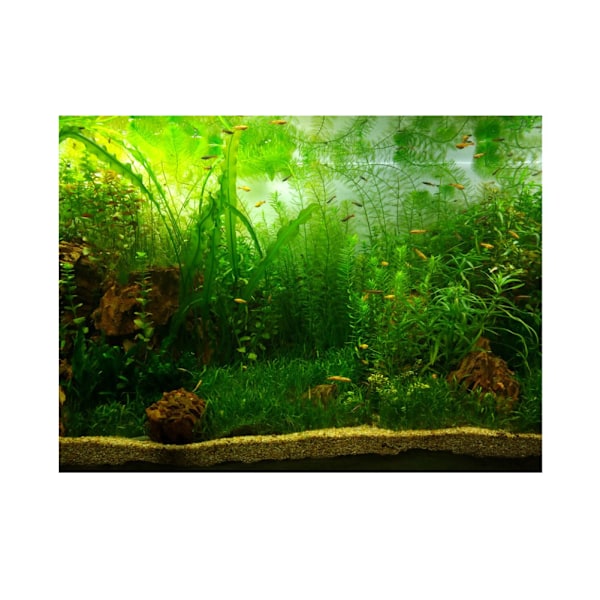 Water Grass Style Aquarium Fish Tank Background Poster PVC Adhesive Decor Paper (76*46cm)