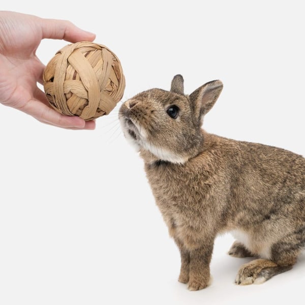Smådjursaktivitetsleksak, roliga husdjursbollar$Smådjurslek