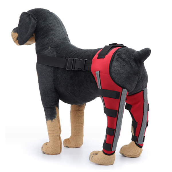 Hundeknäskydd Justerbart Hund Dubbel Bakbensstöd med Metallgångjärn Flexibel Stöd och Reflekterande Säkerhetsbälten (Röd)