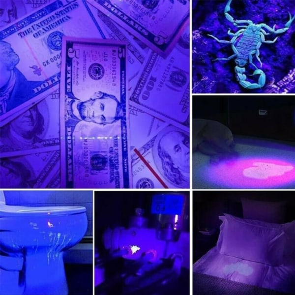 LED UV-svartlys lommelykt - UV-svartlys lommelykt - Ultrafiolett lampe med 21x LED - Energieffektivitetsklasse: A - stort belysningsområde,