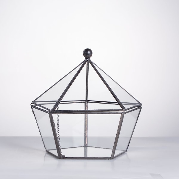 Litet glas geometriskt terrarium sluten juvelförpackad form
