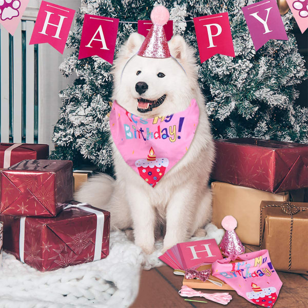 Tillbehör för födelsedagsfest för hundar, Pet Birthday Hat och Boy Doggy