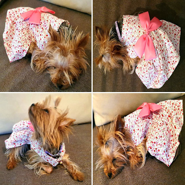 Hundklänning - Valpblommiga Prinsessklänningar, Hundklänning med Rosett Tutu-kjol, Tunn Söt Husdjurs Sommarkläder för Små och Medelstora Tikar Katter Kattungar