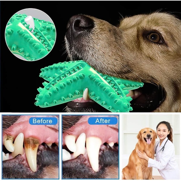 koiran purulelut, meritähtipentujen hampaiden lelut, koiran hampaiden puhdistus