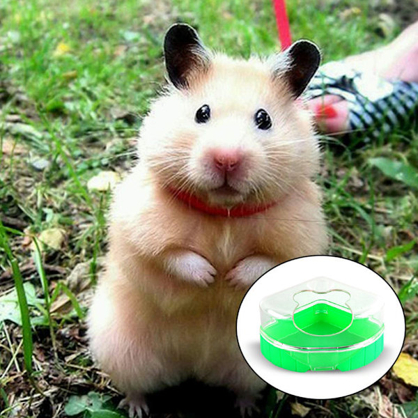 14*11*7CM Hamsterbadrum - Grön