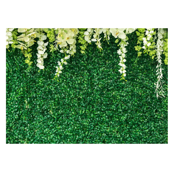 Grønne Blade Baggrunde Grønt Baggrund med Blomster Grønt Blad Hvid Blomst Foto Baggrunde Brudebruser Baggrund til Bryllup Baggrunde Modtagelse